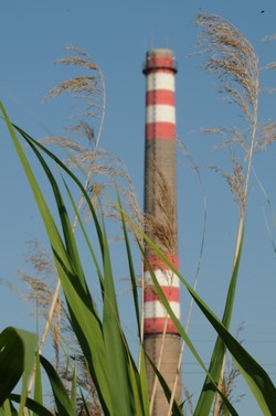 Bővíti megújuló energiatermelését a PANNONPOWER Holding Zrt.