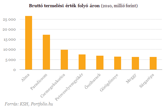 Dagad a dinnyebotrány: Tényleg ennyire fontos ez?