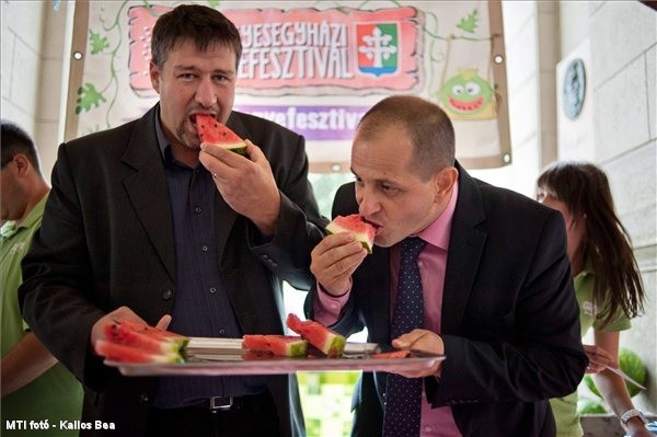 Nincs félnivaló: Budai Gyula is népszerűsíti a magyar dinnyét