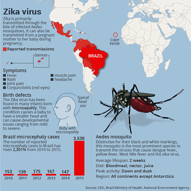 Nincs ellenszere, megelőzni kell(ene) a Zika-vírus fertőzést