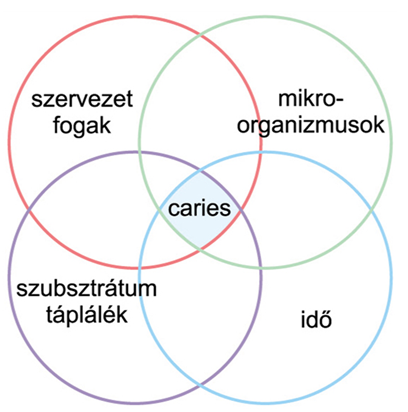 Katasztrofális állapotban vannak a fogaink