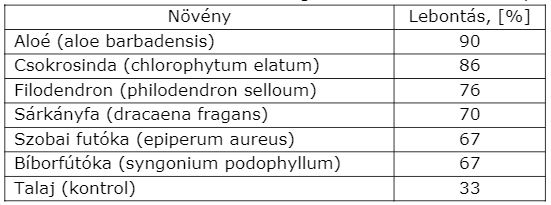 Az egészségünket is védik a szobanövények