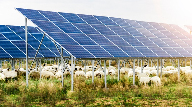 Újfajta naperőműveket hoz Magyarországra a napenergia-forradalom