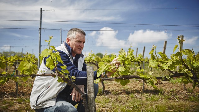 Balatoni borozás: nem csak nyáron és nem csak az északi parton