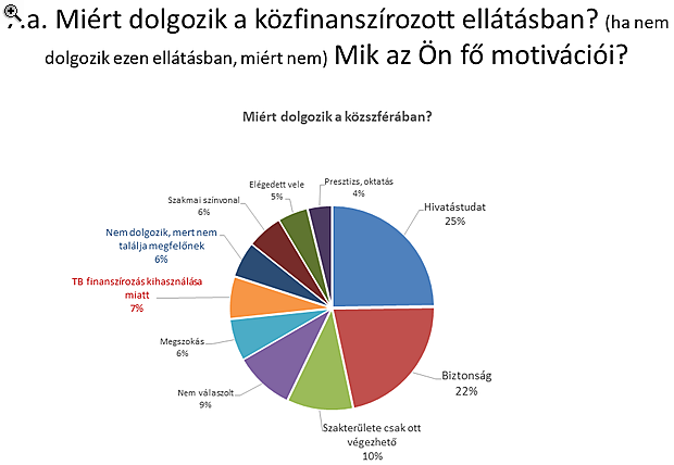 Ezért dolgoznak az orvosok a magyar magánegészségügyben