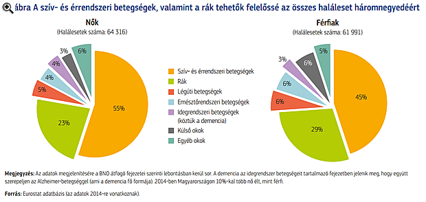 Lesújtó jelentés jött a magyar egészségügyről