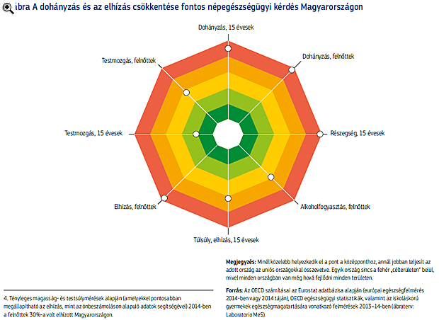Lesújtó jelentés jött a magyar egészségügyről
