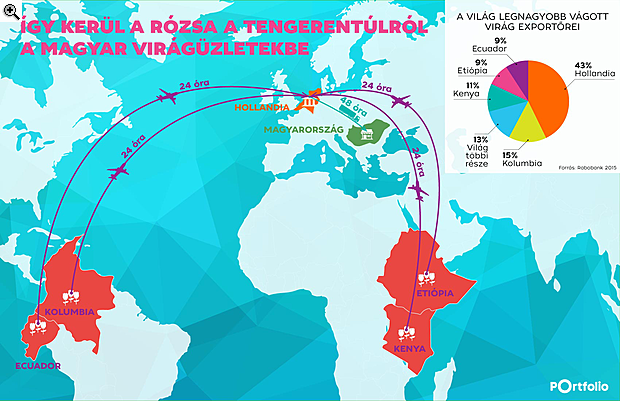 Nemcsak a rózsa, lassan a