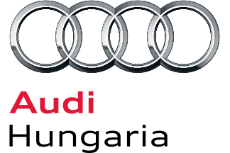 Forex audit program
