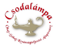 1500 mosoly a Csodalámpa Alapítvány segítségével 