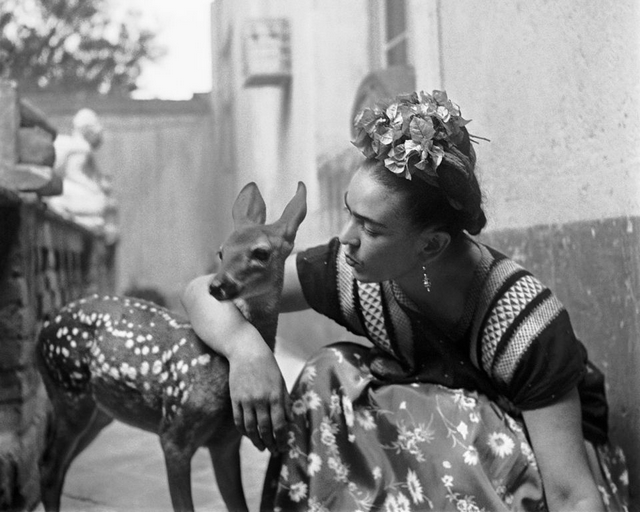 Frida virágai - A legnépszerűbb és leglátogatottabb hazai kiállítás képeken