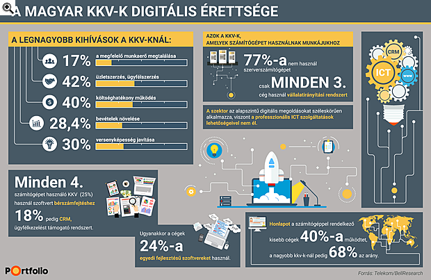 Egyetlen infografikán a magyar cégek digitális érettsége