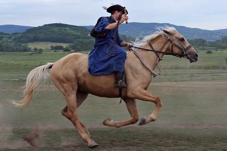 Kereskedés a magyar piacon kezdőknek