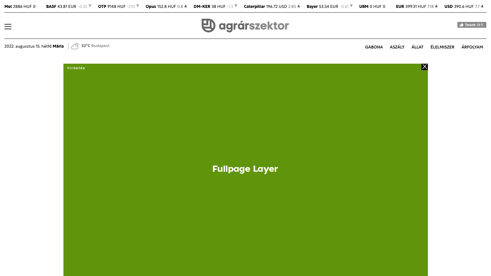 Fullpage layer
